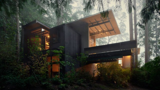 Olson Forest Cabin With Interesting Architecture