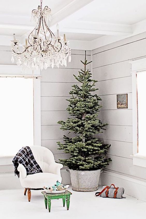 a huge tree with no decor in a galvanized bucket looks truly farmhouse-like