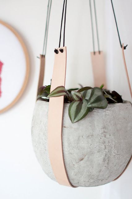 concrete planters hanging on leather straps are ideal for an industrial or minimalist interior