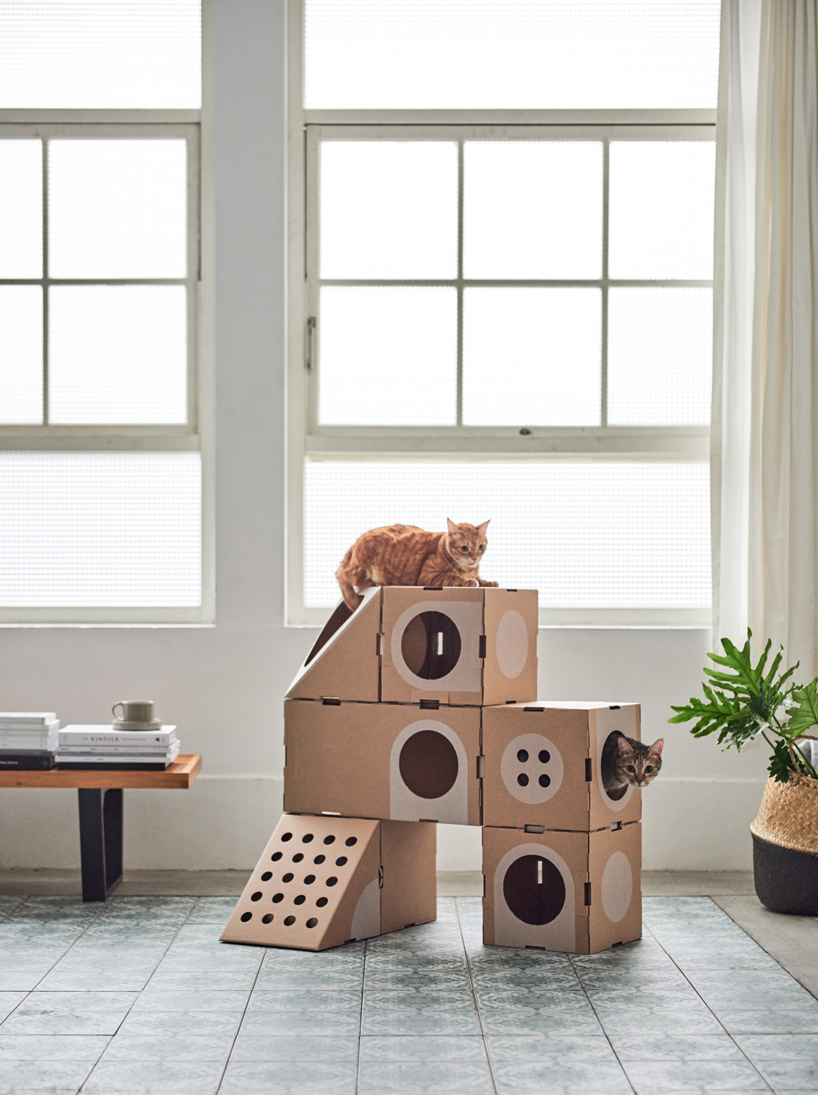 A Cat Thing is a series of cardboard modules that can be arranged in various ways to please your cats