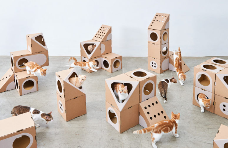 The pieces of the series will accomodate both giant cats and small kitties easily