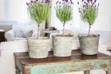 10 chippy console table with lavender topiaries in sap buckets for a shabby chic touch