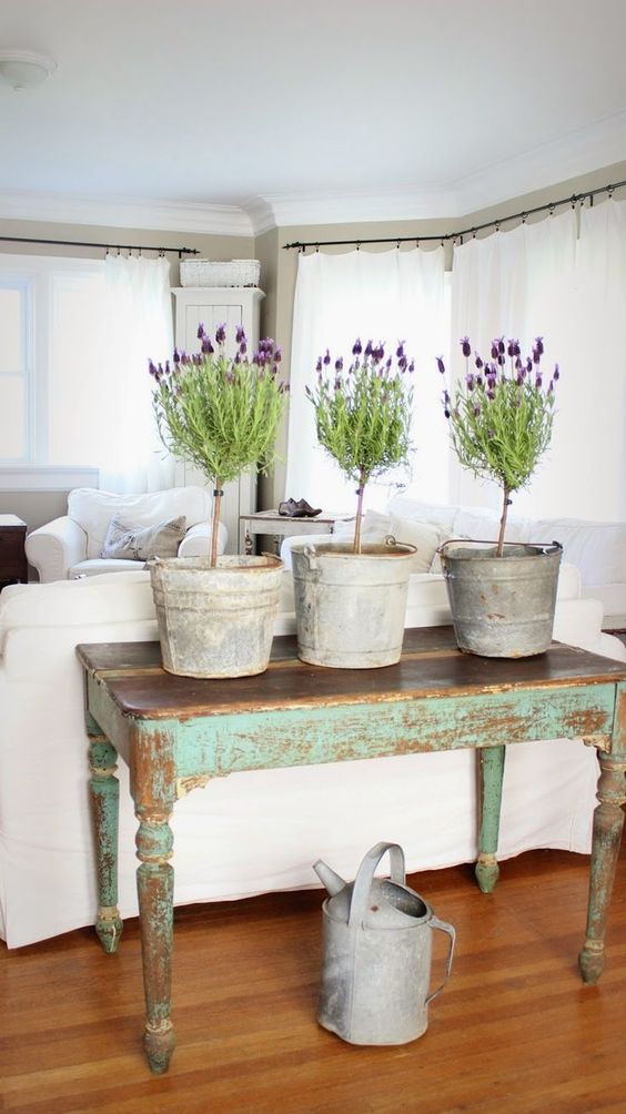chippy console table with lavender topiaries in sap buckets for a shabby chic touch