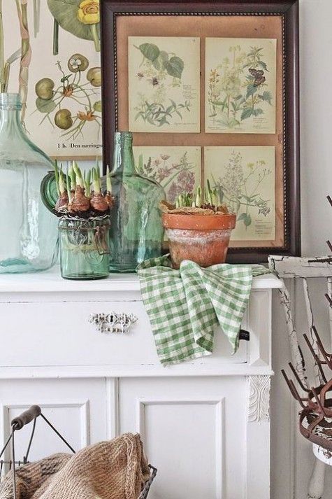 vintage botanical posters and spring bulbs in pots and glasses for a non-typical spring mantel