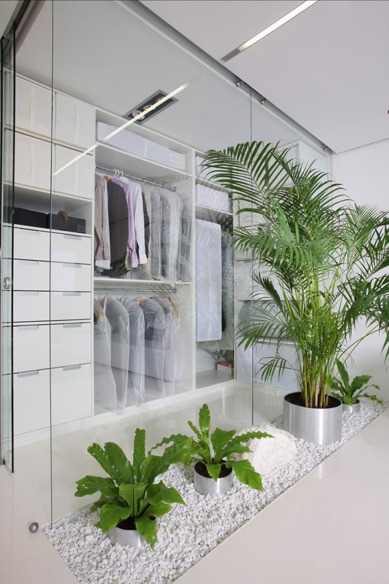 a minimalist closet done with white with glass walls and fresh potted greenery