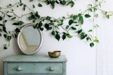 10 climbing plants in the bedroom over the dresser make your space fresh and spring-like