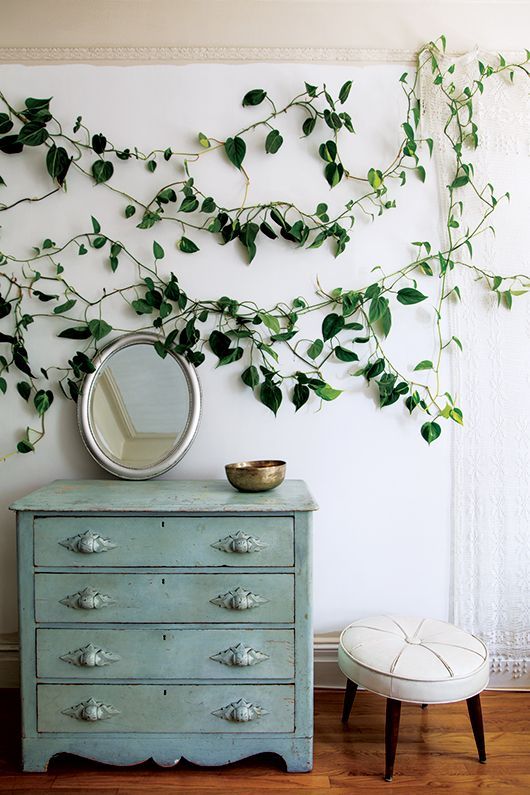 Climbing plants in the bedroom over the dresser make your space fresh and spring like
