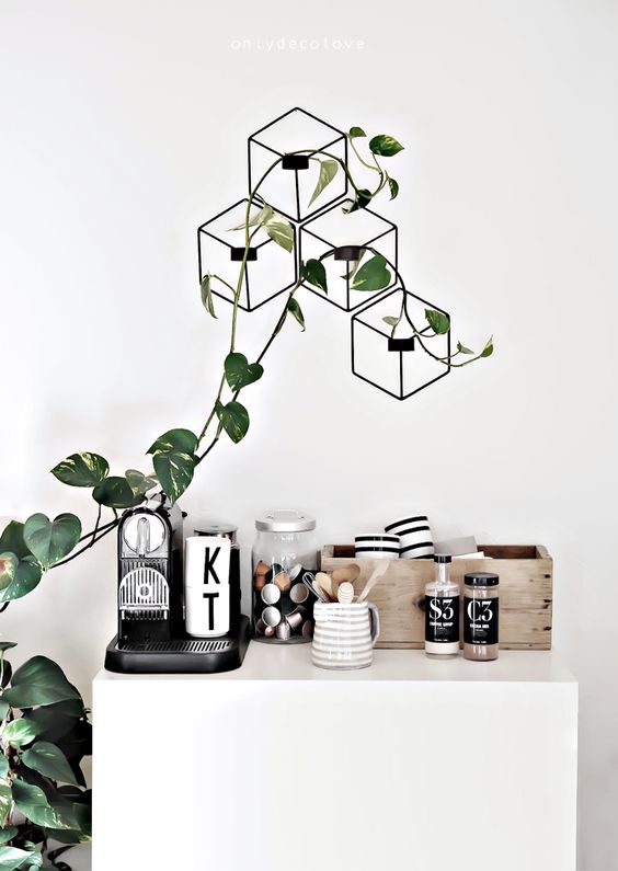 a coffee nook decorated with a geometric trellis and a climbing plant for an organic feel