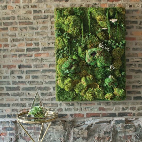 A textural moss wall art with various shapes for more eye catchiness and bold look
