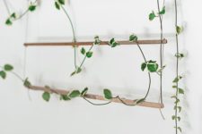 15 such a simple and minimalist trellis can be hung anywhere to show off a climbing plant and refresh the space
