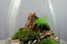 19 a landscape-style terrarium with moss balls, pebbles and rocks for a chic touch