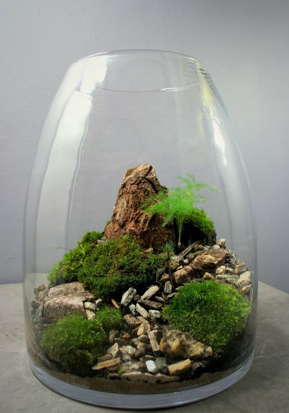 A landscape style terrarium with moss balls, pebbles and rocks for a chic touch