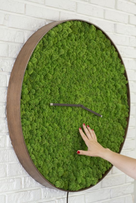 a large moss wall clock with a wooden frame is a stunning piece to add a fresh touch