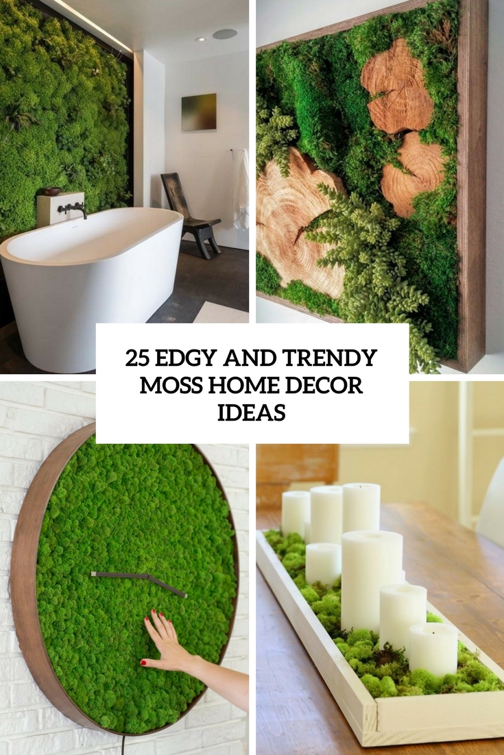 edgy and trendy moss home decor ideas