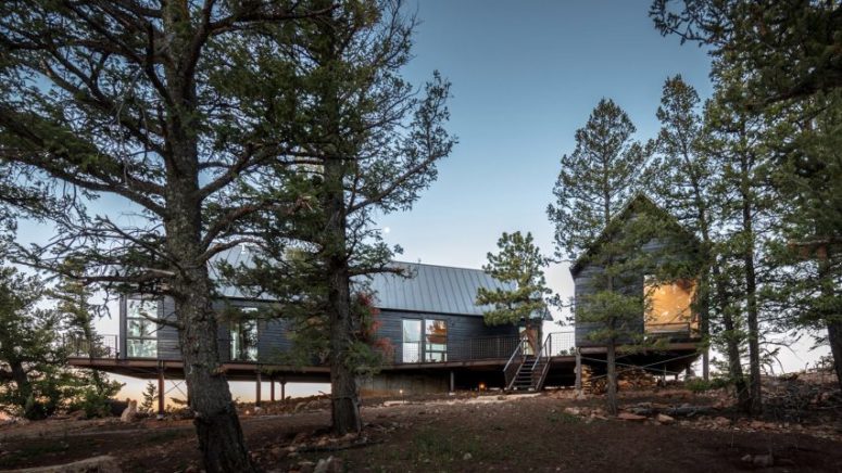 Rustic Cabin Duo On A Remote Forest Site
