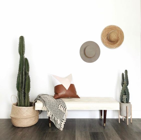 An upholstered bench, a couple of hats, cacti in pots and a leather pillow are all you need