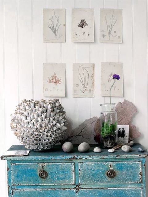 a distressed turquoise console, corals and pebbles, a potted flowers and some vintage posters