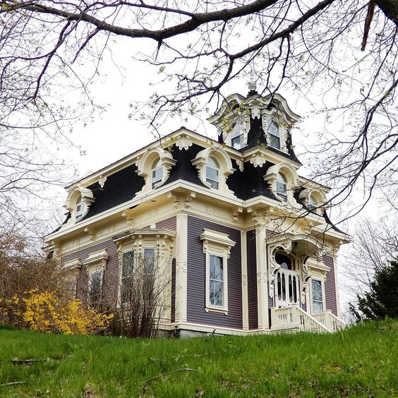 a mansard roof, or a French roof, is always a creative and chic idea for a home