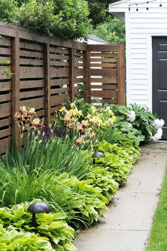 a simple plank fence and lush textural greenery planted next to it for a fresh outdoor look