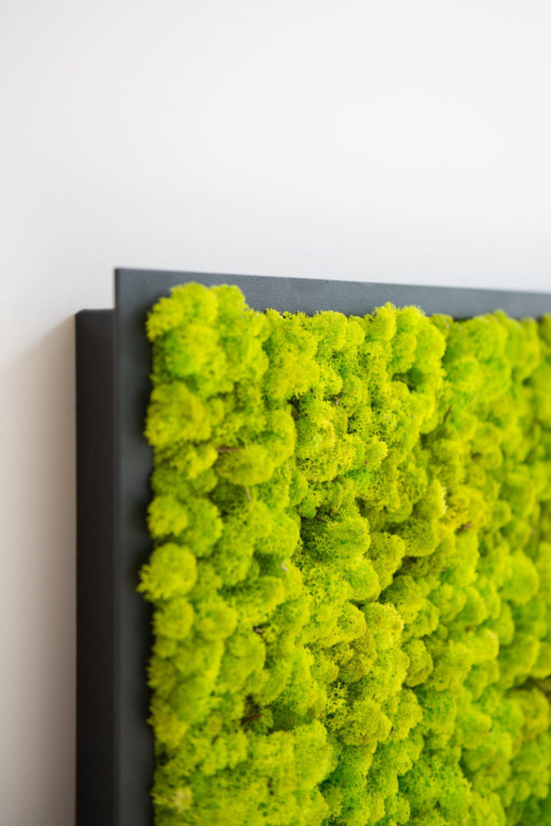 They can also double as a natural wall art, what can be better to refresh a space
