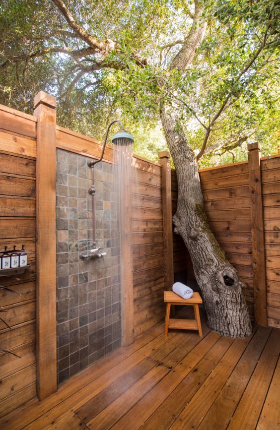 Cladding the whole shower space with wood and incorporating a living tree makes the shower feel spa like