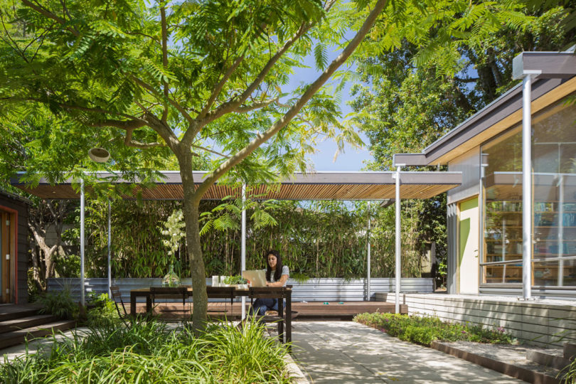 The outdoor space is very comfortable, with a tree and it's also suitable for working outdoors