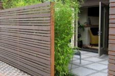 11 a dark stained wood plank fence and lush bamboo planted in front of it makes your space eco-friendly and fresh