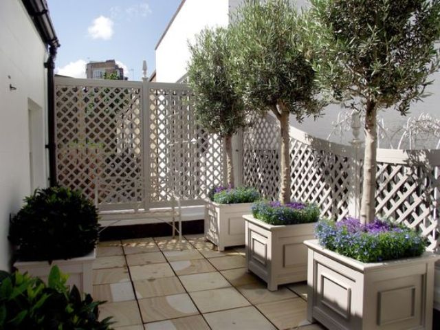 whitewashed trellises can be used as privacy screens and covered with plants or blooms comign up if you want