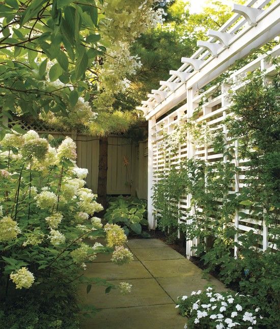a simple trellis screen with lots of greenery is a fresh and natural solution for your outdoor space
