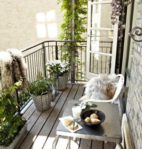 a metal table, a couple of chairs, potted greenery are all you need for a simple and comfy look