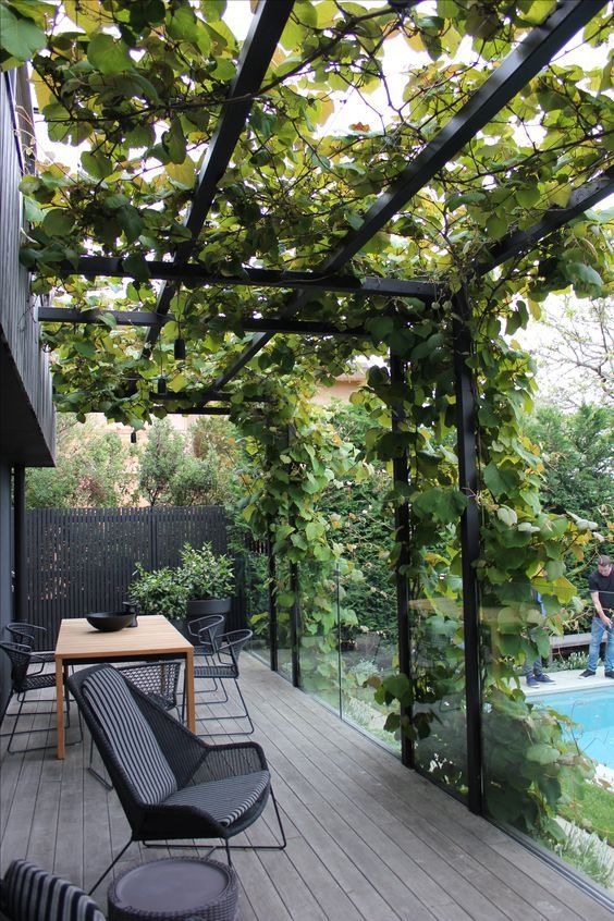 a large metal frame covered with lush greenery looks modern and refreshes the dark space
