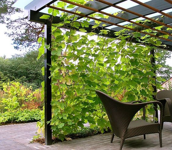 a modern living wall that comes up to the roof to make the space more private and welcoming