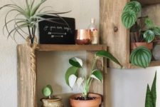 24 rough wood box shelves make a nice idea for storing a  lot of things andmay be used for plants, too