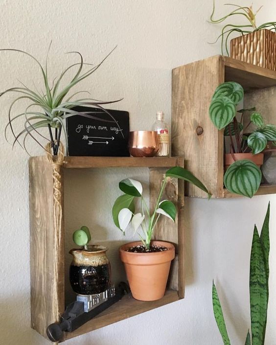 rough wood box shelves make a nice idea for storing a  lot of things andmay be used for plants, too