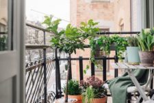 25 folding furniture and potted greenery are all you need for a small balcony