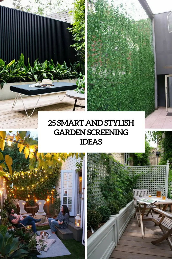 smart and stylish garden screening ideas