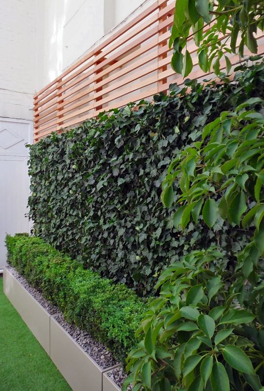 planters with greenery and a living wall finished with a plank part is an eye-catchy combo for your ooutdoor space