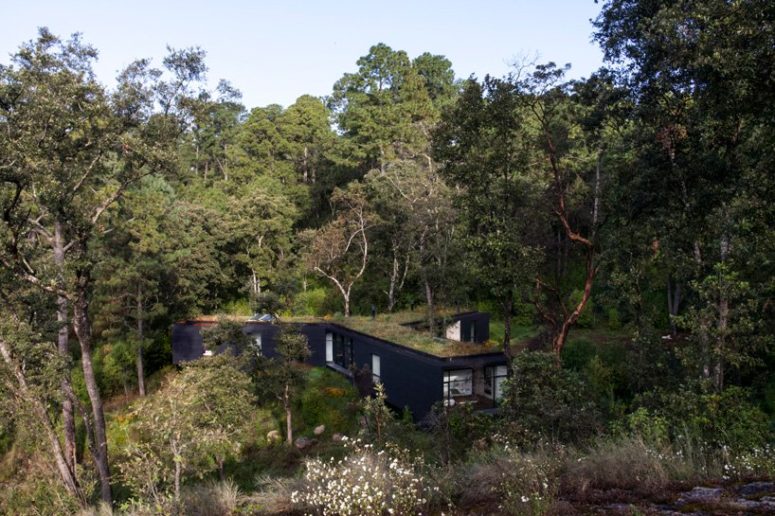 This home in the forest is a unique dwelling, which stands out but still looks harmonious in the surroundings