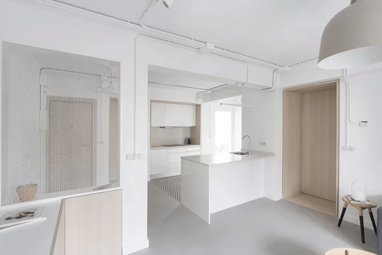 This laconic contemporary apartment is filled with light and meets all the owner's requirements