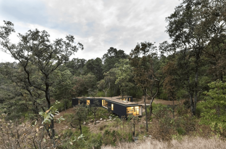 The house takes maximal advantage of the location with much glazing - the forest views are amazing