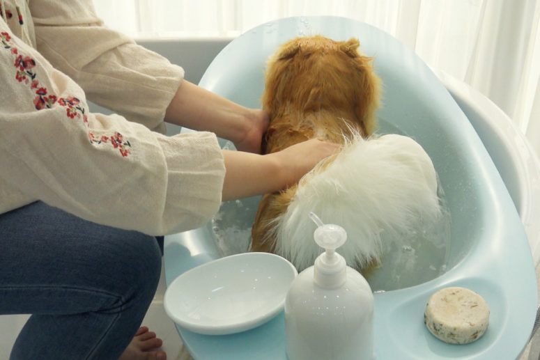 I bet this bathtub will be also suitable for cats, wash your pet with comfort anytime