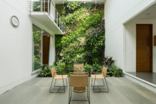 gorgeous indoor living wall