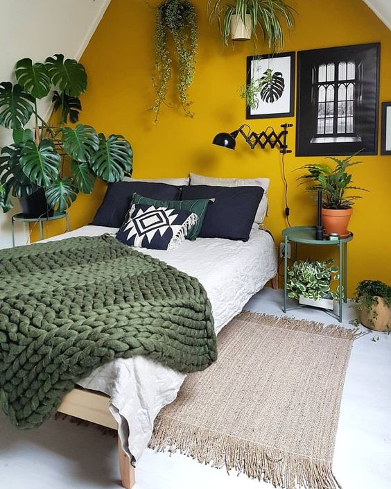 green taken in potted greenery and a blanket and a mustard accent wall for a contrast