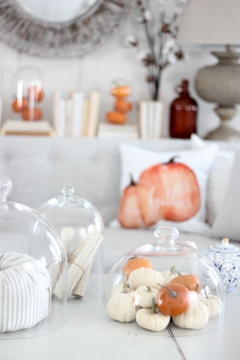 small faux pumpkins in a cloche is a simple and cool fall decoration for any space