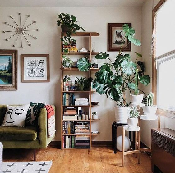 go for statement plants like cacti, succulents and even palms to add style to your space