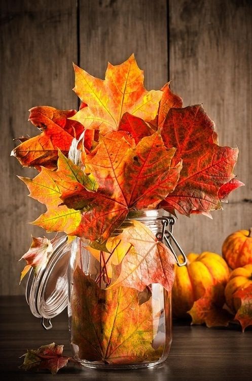 take a mason jar and put some fall leaves inside for a cool fall display, you won't need more