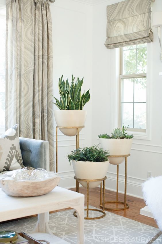 arrange your home plants in the same pots to keep the style unified