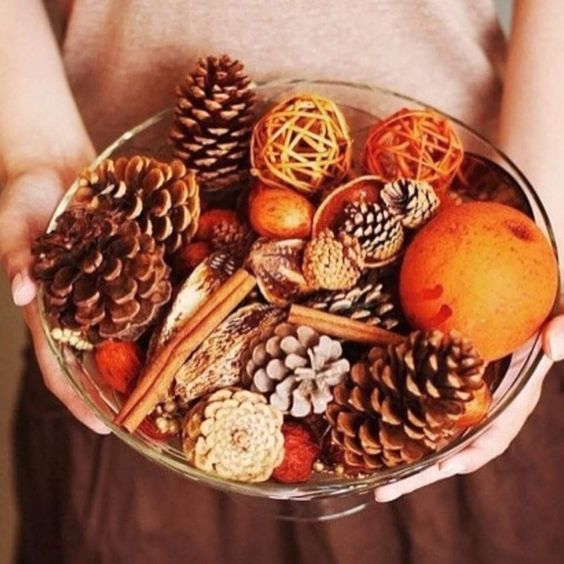 make your own fall display in a bowl putting cinnamon bark, pinecones, citrus and other stuff for fall