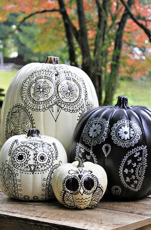 boho chic monochrome cuteness of black and white pumpkins with owls painted on them