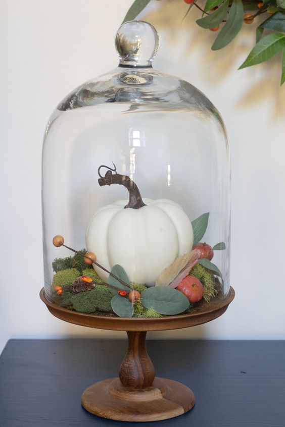 a cloche with a wooden base with moss, a faux pumpkin and berries and veggies plus foliage for a cozy feel